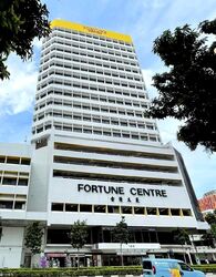 Fortune Centre (D7), Office #455153231